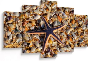 Tablou cu stea de mare (150x105 cm)