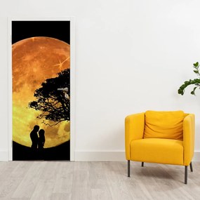 Fototapet pentru ușă - Umbre la lumina lunii (95x205cm)