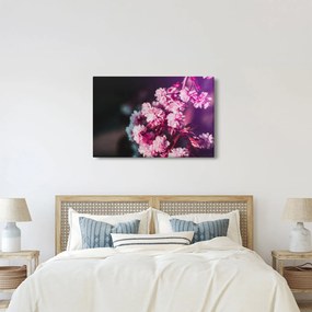 Tablou cu florile copacilor (90x60 cm)