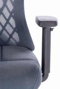 Ergomax ergonomic birou scaun pivotant gri-albastru