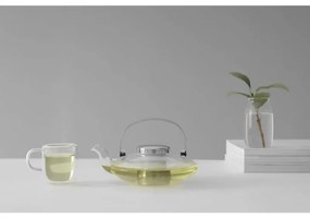 Ceainic LEAF Viva Scandinavia V70500, 500 ml, Maner rece, Transparent