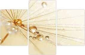 Tablou - Fotografie macro de păpădie (90x60 cm)