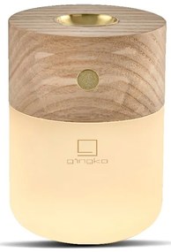 Difuzor de parfum electric Smart – Gingko
