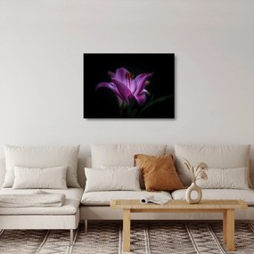 Tablou pe sticlă crinul (70x50 cm)