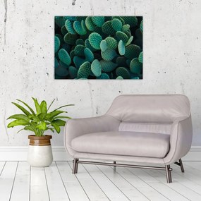 Tablou pe sticlă - Opuntia (70x50 cm)