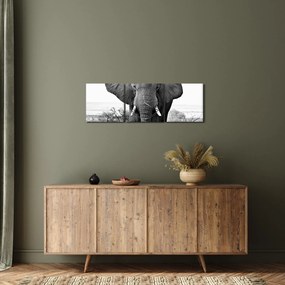 Tablou - Elefantul african II. (cu ceas) (90x30 cm)