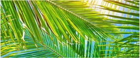 Tablou - Frunze de palmier (120x50 cm)