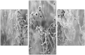 Tablou - Pajiște sălbatică (90x60 cm)