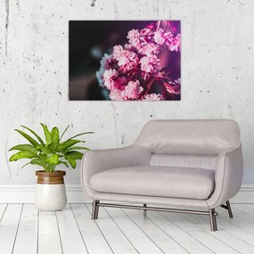 Tablou pe sticlă cu florile copacilor (70x50 cm)