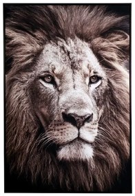 ​Tablou Lion 80x120 cm