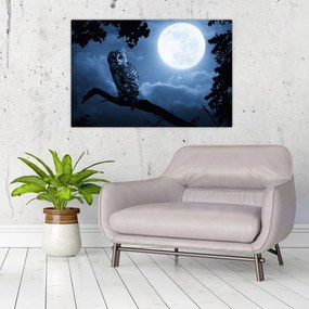 Tablou - Bufnița de noapte (90x60 cm)