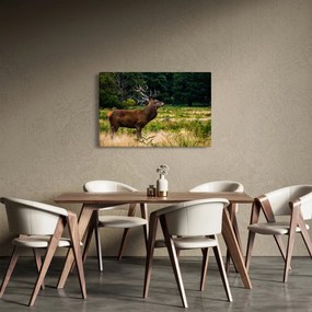 Tablou cu cerb (90x60 cm)