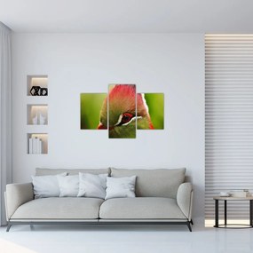 Tablou cu pasărea colorată (90x60 cm)