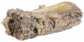 Ambalaj din beton - ghiveci, lemn cu ciuperci, 36x 18 x 13 cm, maro