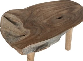 Măsuță de cafea din lemn de tec, natur, cu blat din trunchi și picioare din ramuri, finisaj natural, 50 x 110 x 70 cm, „Brezia” – Ethnic Collections
