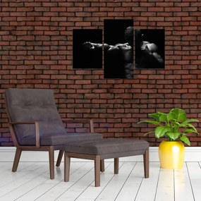 Tablou - Lovitura cu pumn (90x60 cm)