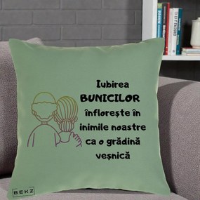 Cadou pentru Bunici - Perna Personalizata Iubirea Bunicilor Infloreste Cuplu Line Art Gradient, 40x40 cm, Verde, Husa Detasabila, Perna Inclusa, BEKZ®