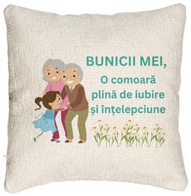 Perna Decorativa Canapea pentru Bunici 3, 40x40 cm, Cu fermoar