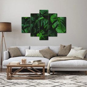 Tablou cu frunze Monstery (150x105 cm)