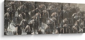Tablou - Turmă de antilope sălbatice (cu ceas) (90x30 cm)