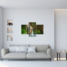 Tablou cu trigrul fugind (90x60 cm)