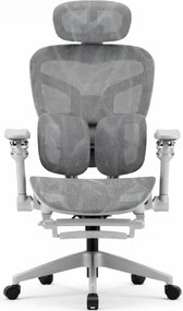 AEROMAX PRO SLIDING Scaun ergonomic, Sezut Translatie, cotiere 6D, Tetiera 3D, Suport lombar dublu ajustabil, Suport picioare, Umeras, Full Mesh, Gri