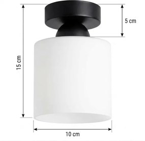 BRILAGI - Plafonieră LED RETRO GLASS 1xE27/60W/230V Ø 10 cm negru/alb