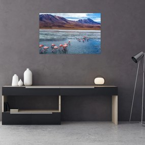 Tablou - Flamingo (90x60 cm)