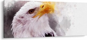 Tablou - Vultur (120x50 cm)