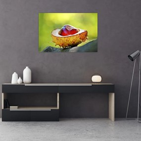 Tablou cu castani (90x60 cm)
