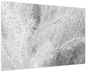 Tablou - Iarbă de pampas N⁰1 (90x60 cm)