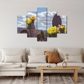 Tablou cu floarea de cactus Opunție (150x105 cm)