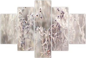 Tablou - Plante (150x105 cm)