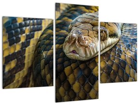 Tablou - Piton (90x60 cm)