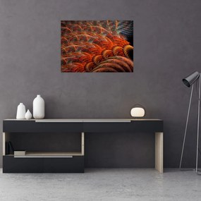 Tablou - Pene de imitație abstractă (70x50 cm)