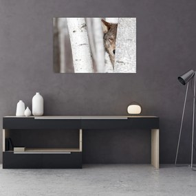 Tablou - Lup (90x60 cm)