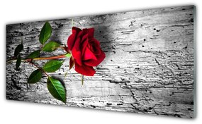Tablouri acrilice Rose Floral Roșu Verde