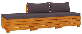 3087329 vidaXL Set mobilier de grădină cu perne, 3 piese, lemn masiv acacia