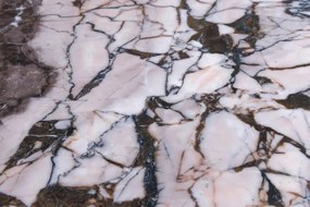 Masa Ovala, Metal, Auriu, Marmura, ORGANIC 200cm, A-46205 VC