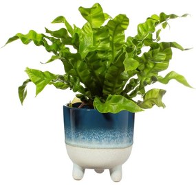 Ghiveci Sass &amp; Belle Bohemian Home Mojave, ø 11,7 cm, albastru