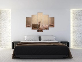 Tablou - Cerb în pădure (150x105 cm)