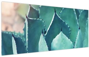 Tablou - Suculent (120x50 cm)