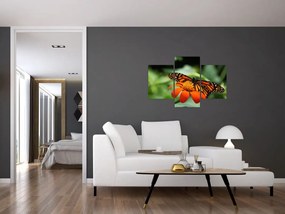 Tablou cu fluture pe floare (90x60 cm)