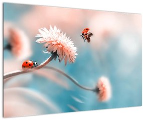 Tablou - Buburuze pe floare (90x60 cm)