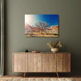 Tablou cu cu copac în deșert (90x60 cm)