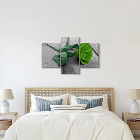 Tablou - Trandafir verde (90x60 cm)