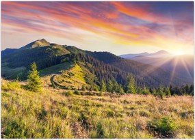 Tablou - Peisaj forestier (70x50 cm)