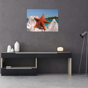 Tablou pe sticlă cu stea de mare (70x50 cm)
