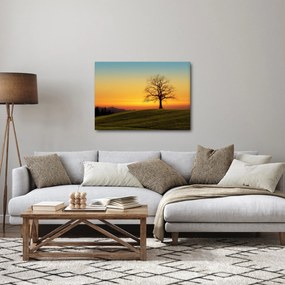 Tablou - Copacul în câmp (70x50 cm)