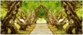 Tablou - Tunel viu din plumeria (120x50 cm)